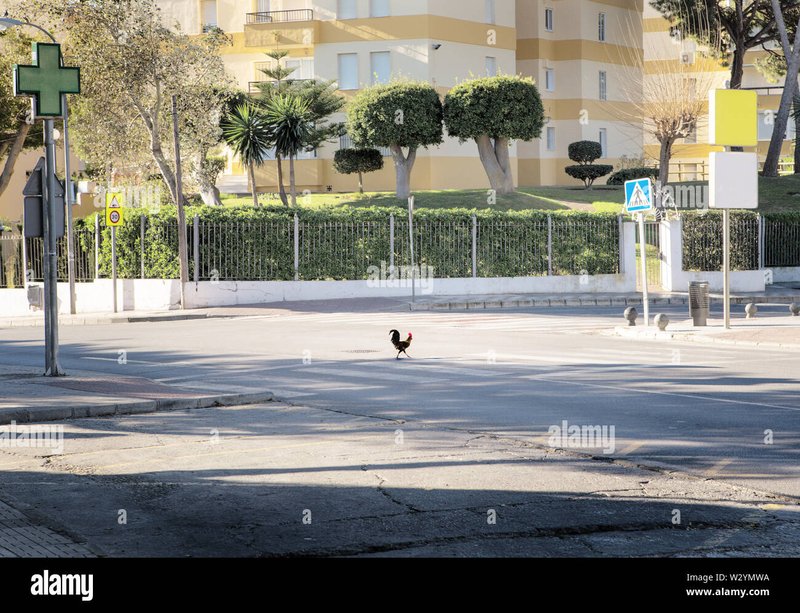 Chicken road casino - Descubre el Misterio de la Carretera de la Gallina en España en Línea