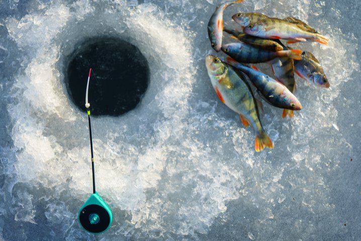 Ice fishing game online in United Kigdom