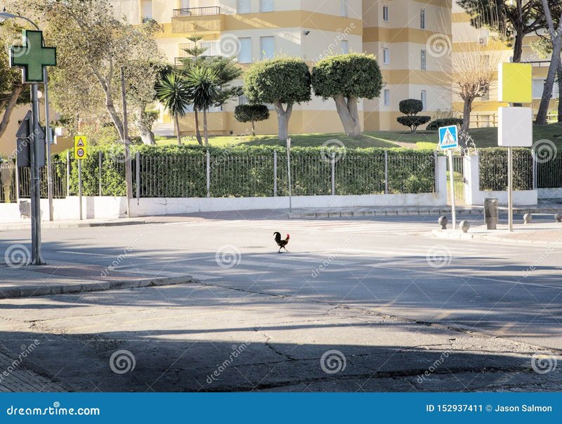 Juega a Chicken Road, el juego de azar que conquista España, chicken road españa